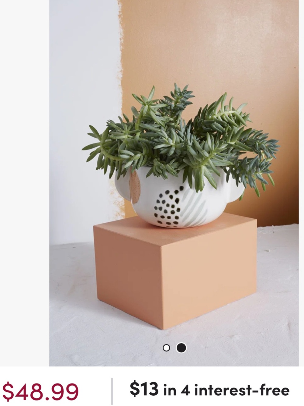Ceramic Decorative Plant Pot - Picture 7 of 8